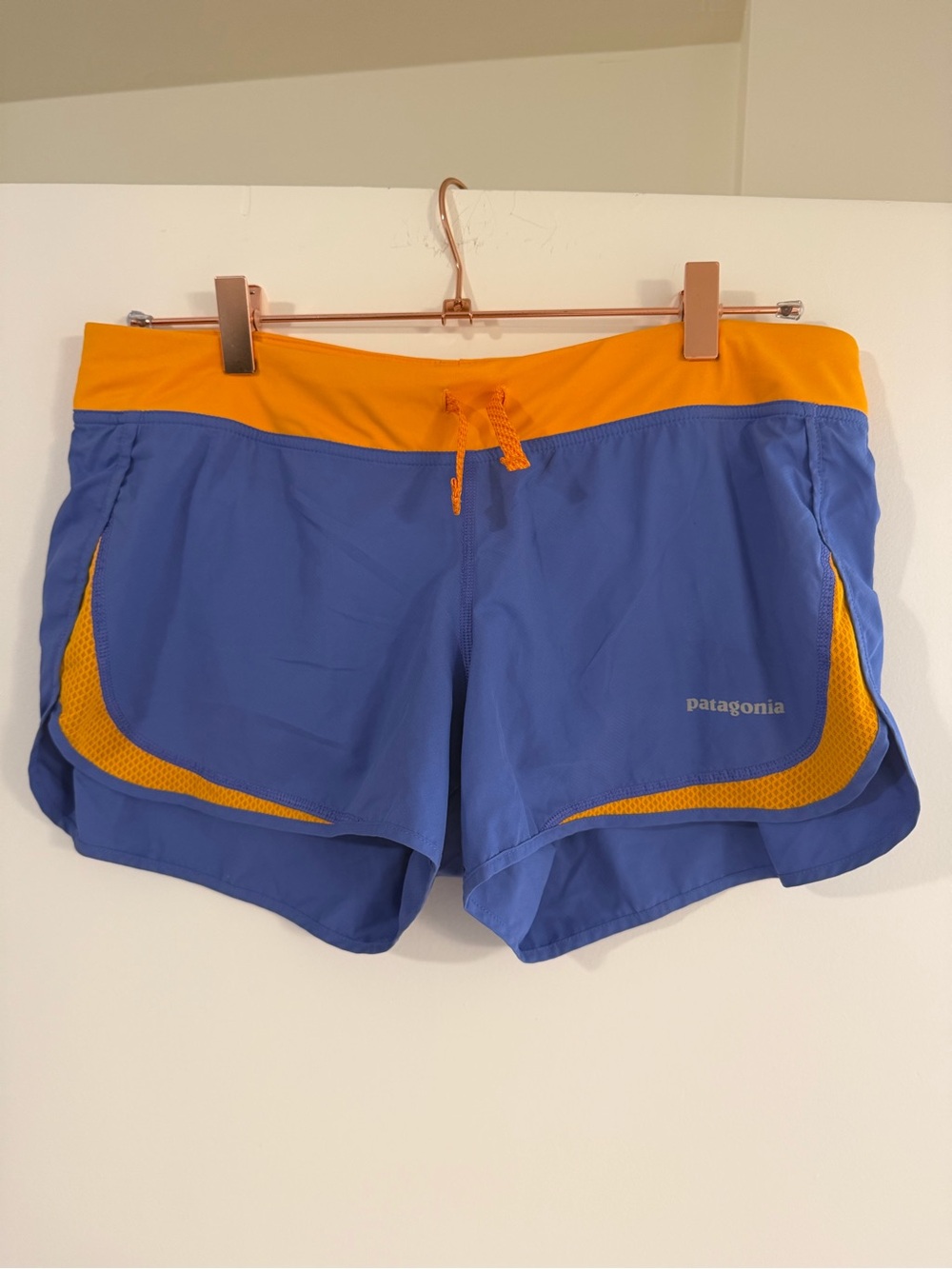 Patagonia Blue and Orange Athletic Shorts